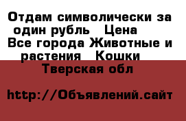 Отдам символически за один рубль › Цена ­ 1 - Все города Животные и растения » Кошки   . Тверская обл.